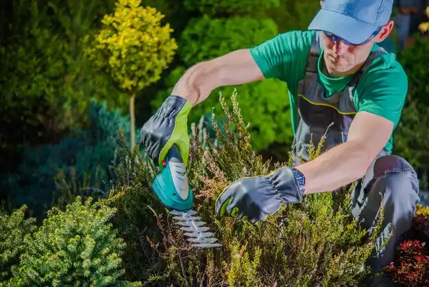 landscaping services Baroda